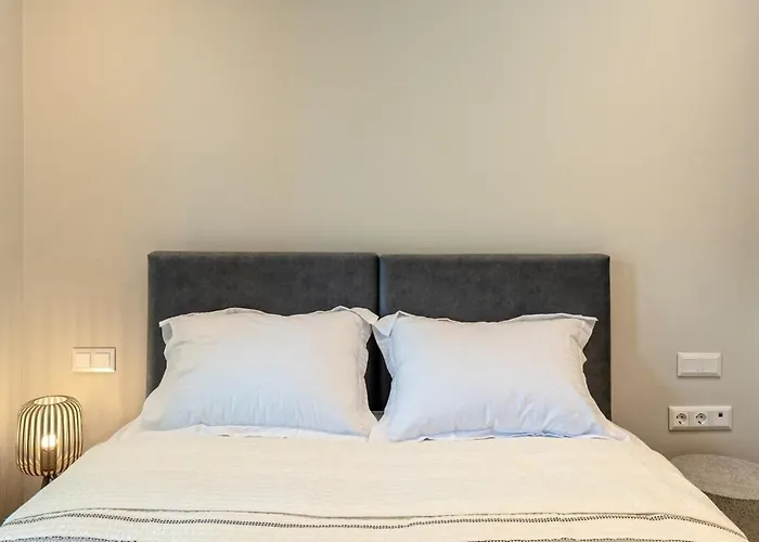 Terra * 沃里亚戈米尼湖